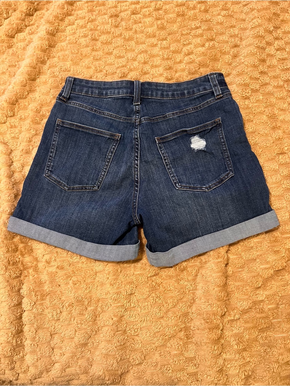 LC Lauren Conrad Blue Denim & Black Roll-Cuff Jean Shorts - Picture 4 of 8